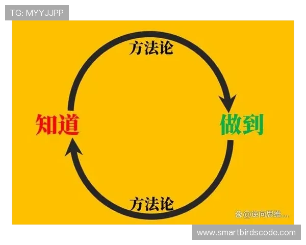 黄英超方法论:颠覆性实践背后的逻辑框架